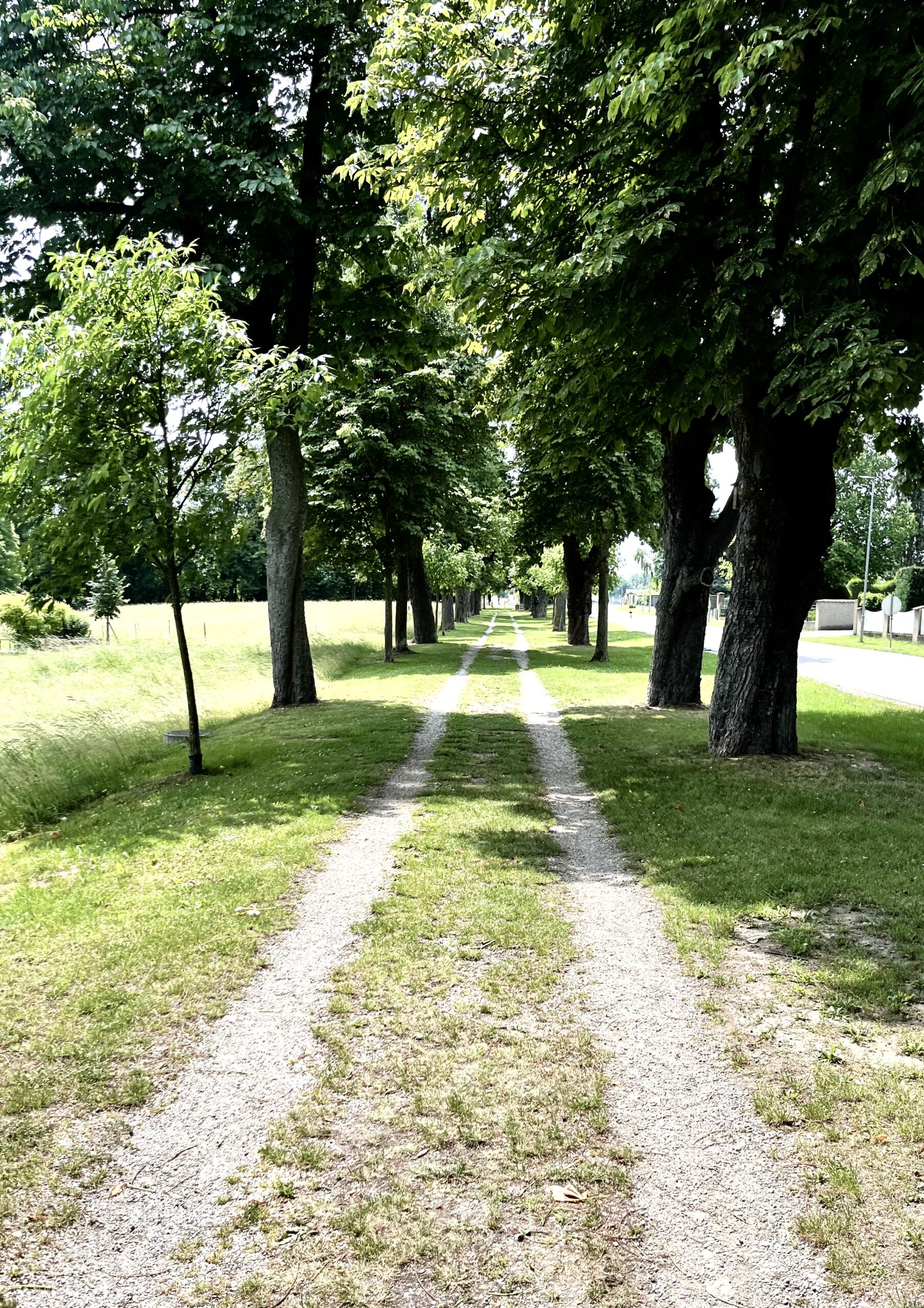Gehen lassen
